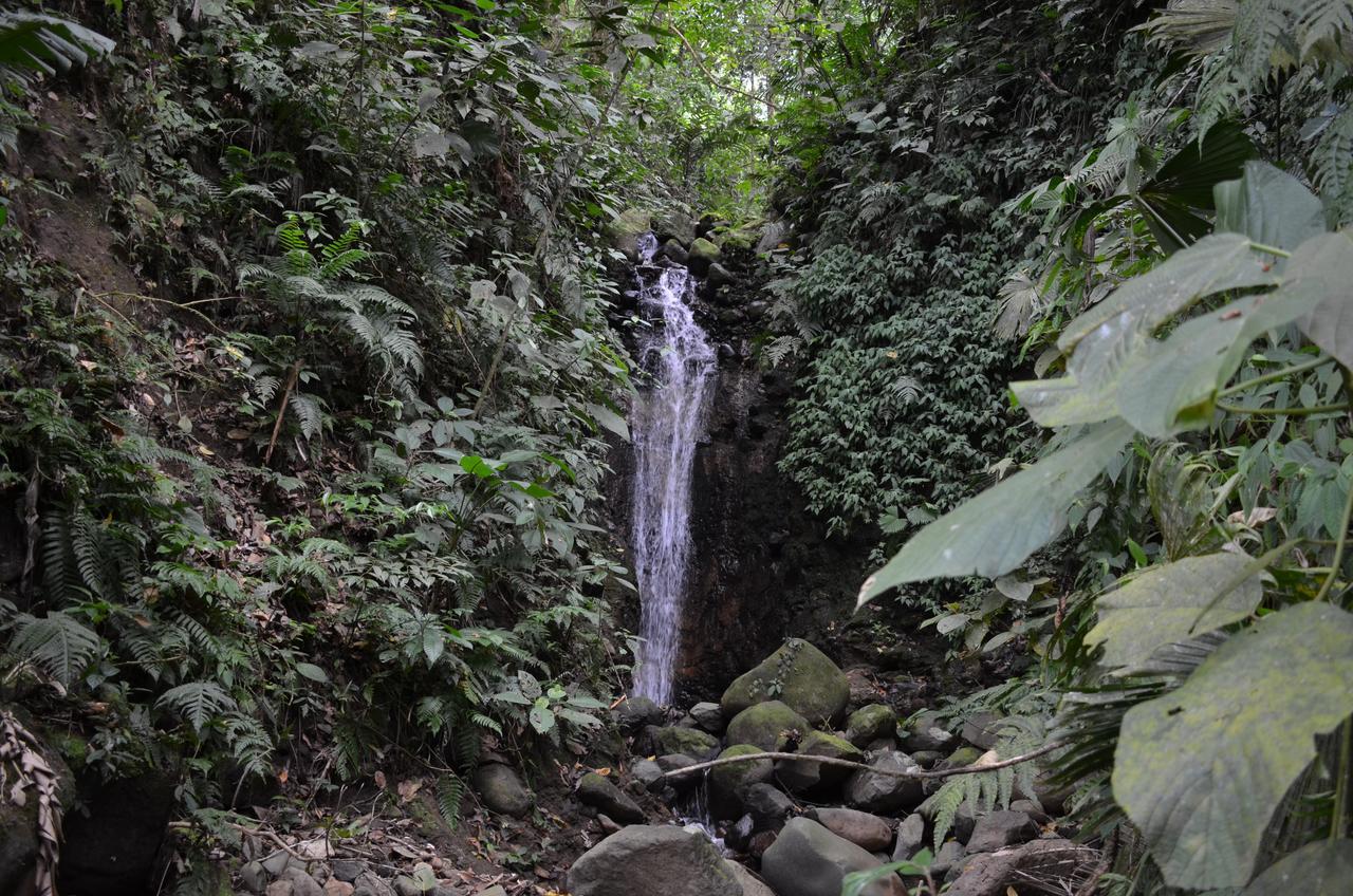 Lumbres Arenal Villa La Fortuna Ngoại thất bức ảnh