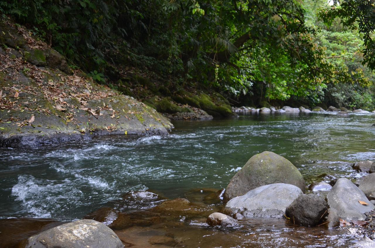 Lumbres Arenal Villa La Fortuna Ngoại thất bức ảnh